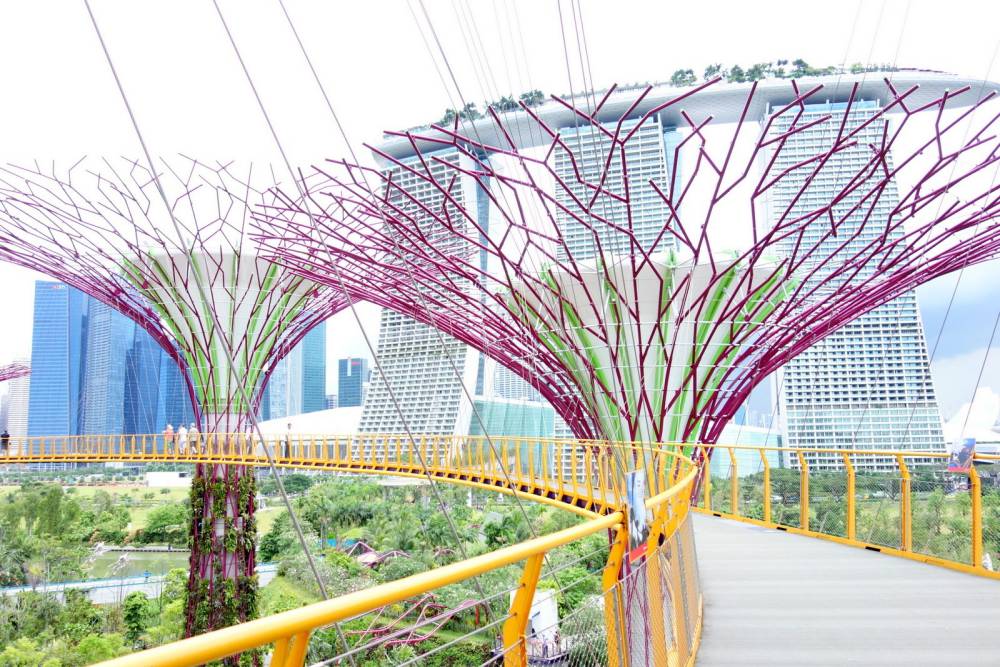 OCBC Skyway in Gardens by the Bay